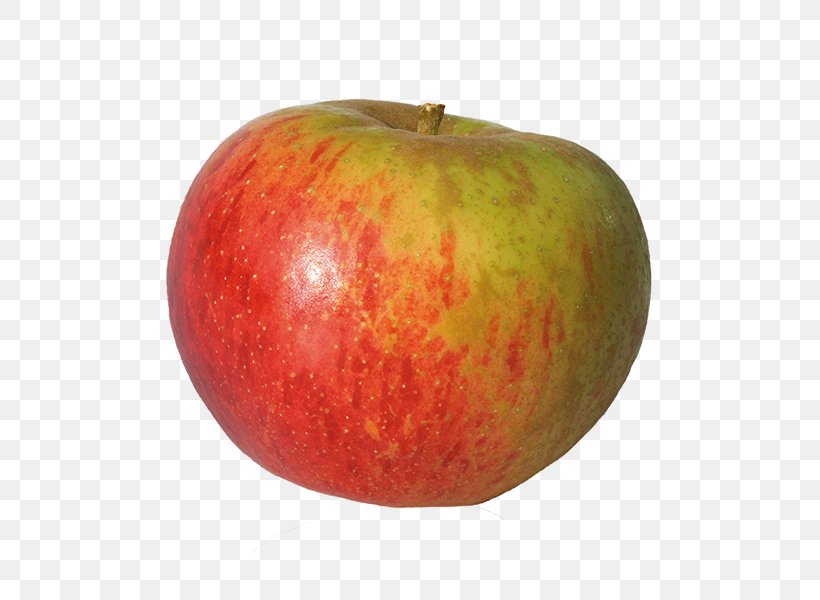 McIntosh Red Reinette Russet Apple Fruit, PNG, 600x600px, Mcintosh Red, Accessory Fruit, Akane, Apple, Apples Download Free