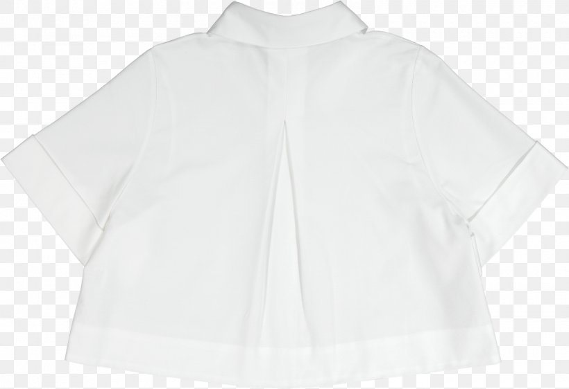 Shirt Collar Blouse Lab Coats Clothing, PNG, 1600x1097px, Shirt, Ascot Tie, Blouse, Clothing, Collar Download Free