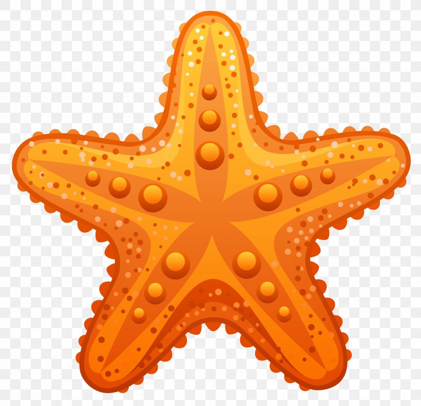 Starfish Clip Art, PNG, 5280x5105px, Starfish, Cdr, Drawing, Echinoderm, Invertebrate Download Free