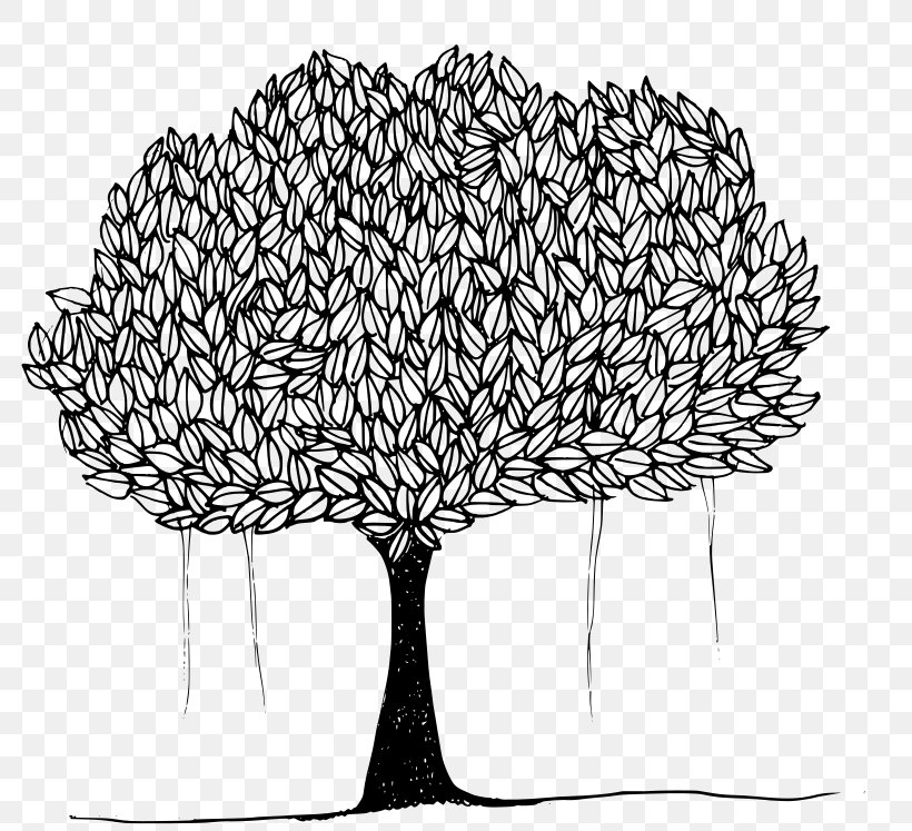 Tree Ficus Religiosa Banyan Clip Art, PNG, 800x747px, Tree, Artwork, Banyan, Black And White, Branch Download Free