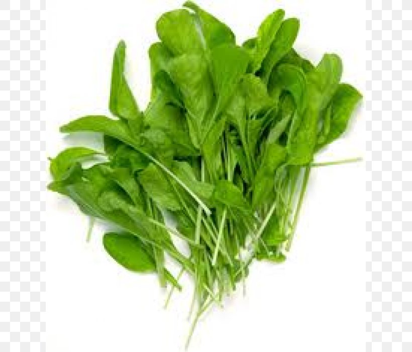 Arugula Plant Vegetable Vegetal Green, PNG, 700x700px, Arugula, Basil, Chard, Chives, Choy Sum Download Free