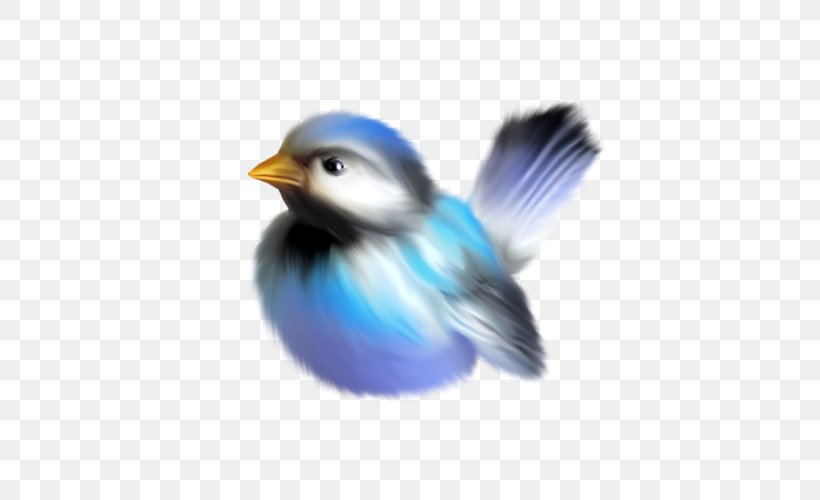 Bird Clip Art, PNG, 500x500px, Bird, Beak, Bluebird, Cobalt Blue, Computer Graphics Download Free