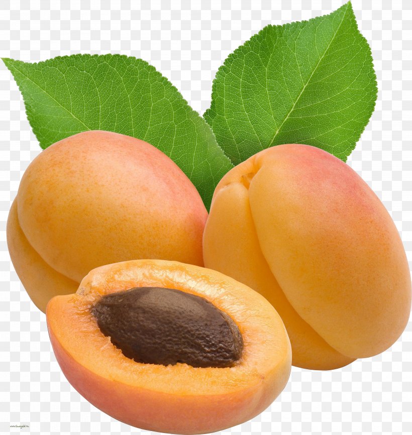 Dried Apricot Clip Art, PNG, 3960x4184px, Apricot, Diet Food, Dried Apricot, Dried Fruit, Food Download Free