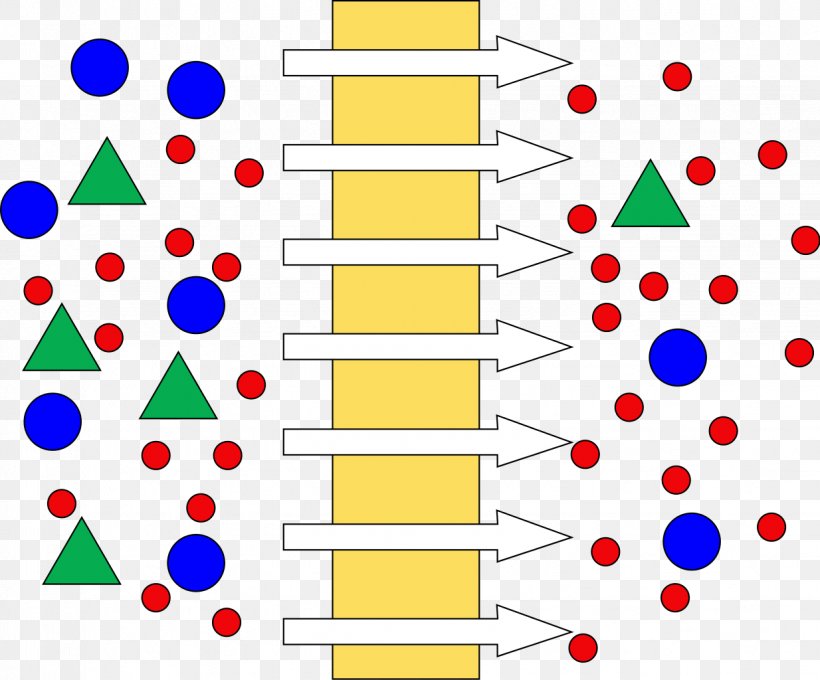 Membrane Technology Dead-End-Filtration Ultrafiltration, PNG, 1234x1024px, Membrane, Area, Crossflow Filtration, Diagram, Diffusion Download Free