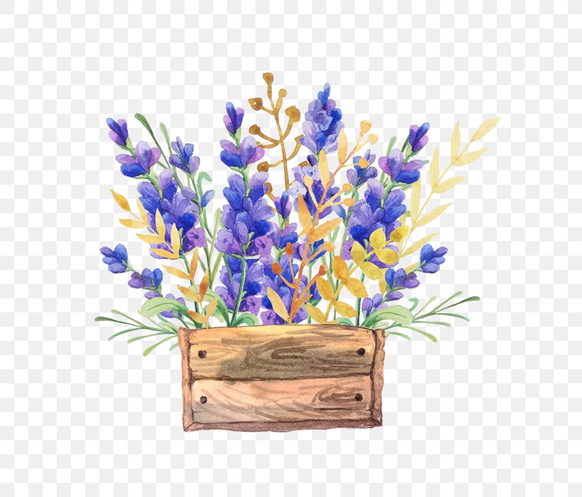 English Lavender Watercolor Painting Flower Drawing Box, PNG, 700x700px, English Lavender, Art, Artificial Flower, Box, Cobalt Blue Download Free