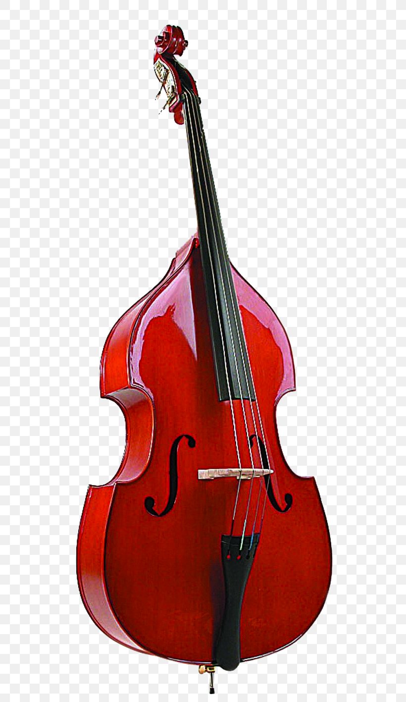Fender Precision Bass Double Bass Cello Violin Viola, PNG, 649x1417px, Fender Precision Bass, Acoustic Electric Guitar, Acoustic Guitar, Acoustic Music, Bass Download Free
