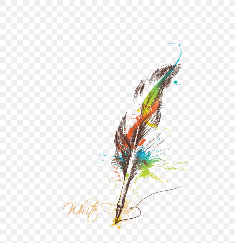 Paper Quill Color Feather, PNG, 600x848px, Paper, Bird, Color, Drawing, Feather Download Free