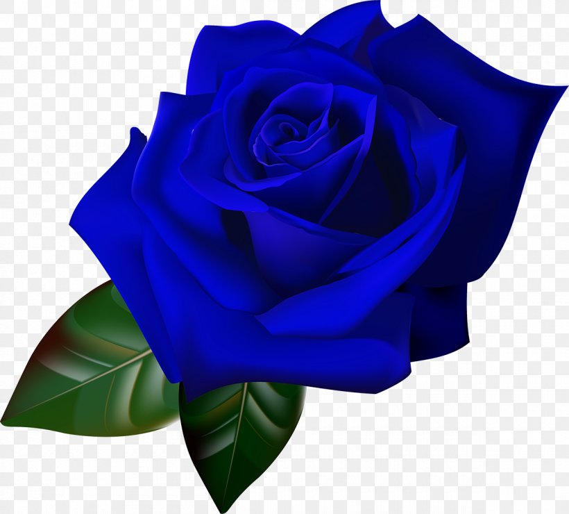 Rosa Gallica Red Flower, PNG, 1200x1083px, Rosa Gallica, Adobe Fireworks, Blue, Blue Rose, Cobalt Blue Download Free