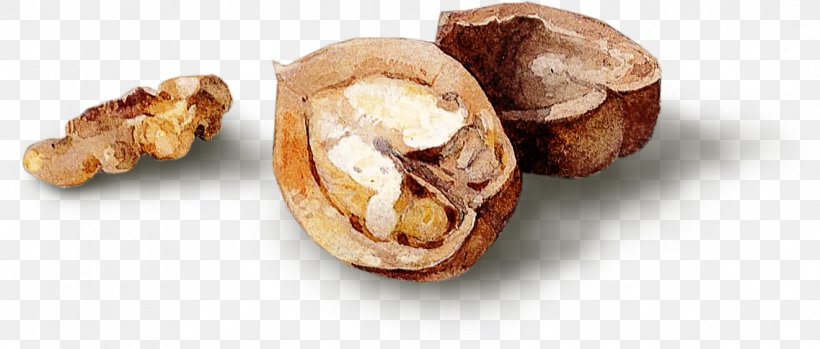 Walnut Food Dried Fruit, PNG, 1137x485px, Walnut, Almond, Chestnut, Dish, Dried Fruit Download Free