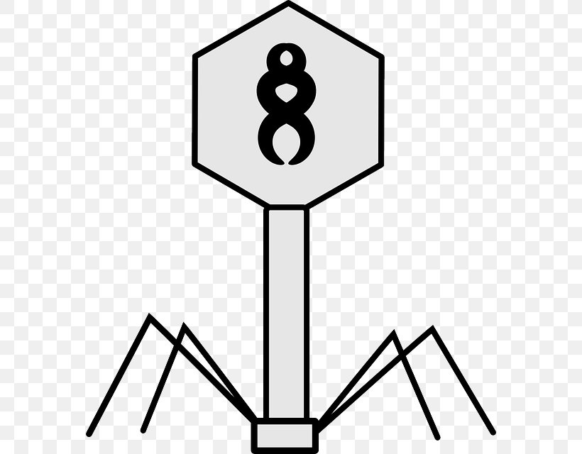 Bacteriophage Lambda Phage Vector Bacteria, PNG, 578x640px, Bacteriophage, Area, Artwork, Bacteria, Black And White Download Free