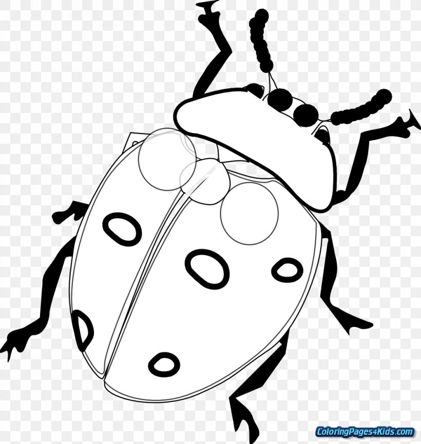 Clip Art Vector Graphics Drawing Ladybird Beetle Illustration, PNG, 999x1055px, Drawing, Artwork, Beetle, Black And White, Cartoon Download Free