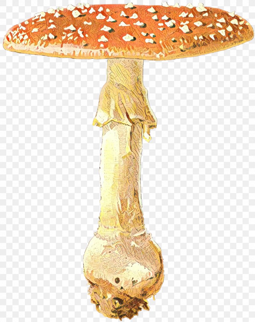 Edible Mushroom Medicinal Fungi Medicine, PNG, 1427x1800px, Edible Mushroom, Agaric, Agaricaceae, Agaricomycetes, Agaricus Download Free