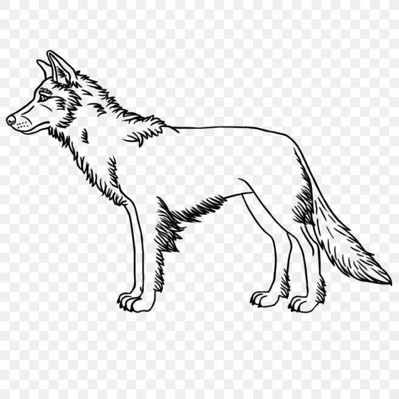 Whiskers Cat Dog Breed Red Fox, PNG, 894x894px, Whiskers, Artwork, Big Cat, Big Cats, Black And White Download Free