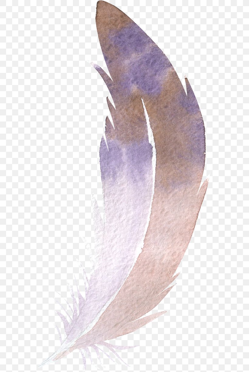 Feather Watercolor Painting, PNG, 573x1225px, Feather, Beak, Bird, Painting, Pen Download Free