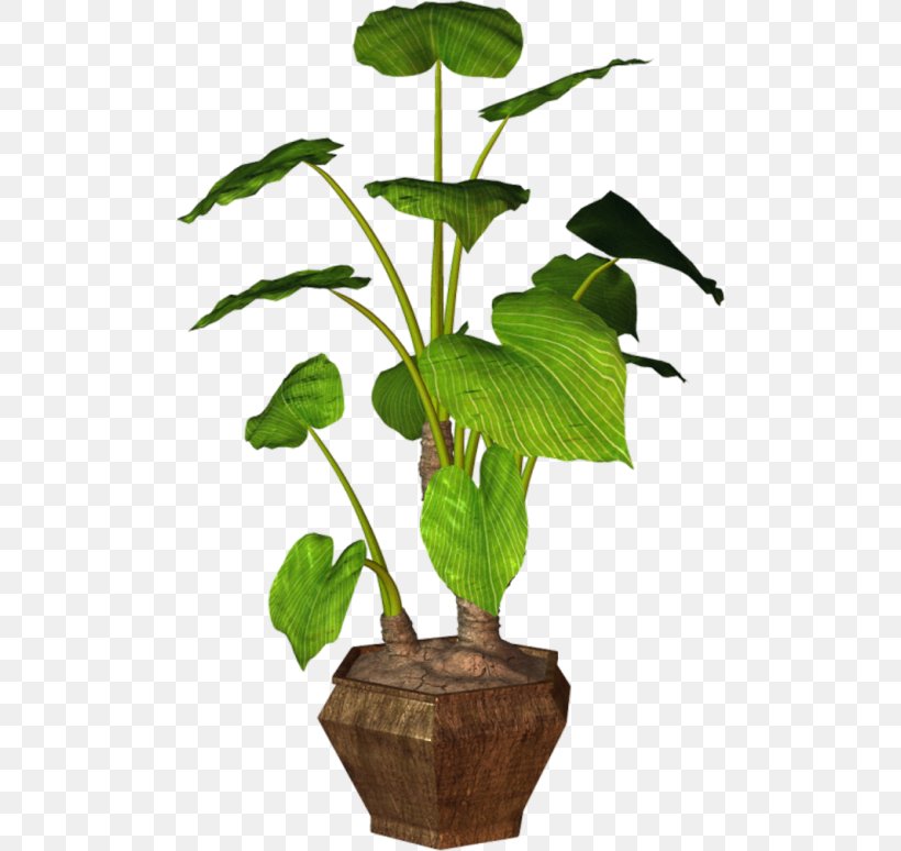 Leaf Flowerpot Houseplant Clip Art Plants, PNG, 500x774px, Leaf, Branch, California Pitcher Plant, Flower, Flowerpot Download Free