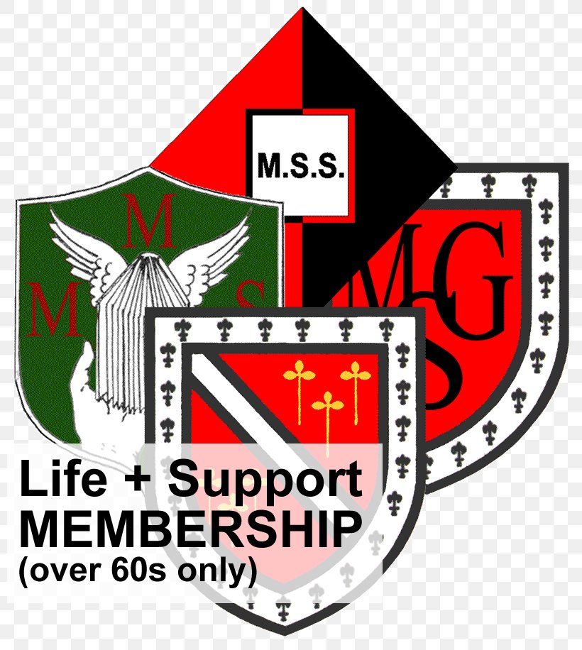 Moseley School Student Sixth Form, PNG, 800x916px, Moseley School, Alumnus, Area, Brand, Campus Download Free