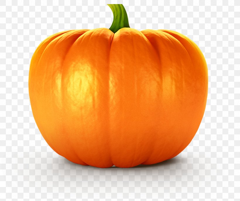 Pumpkin Pie Cucurbita Vegetable Pumpkin Seed, PNG, 822x690px, Pumpkin, Auglis, Calabaza, Cucumber Gourd And Melon Family, Cucurbita Download Free