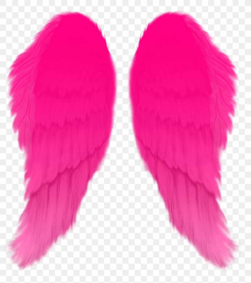 Aile, PNG, 1421x1600px, Aile, Feather, Information, Magenta, Photography Download Free