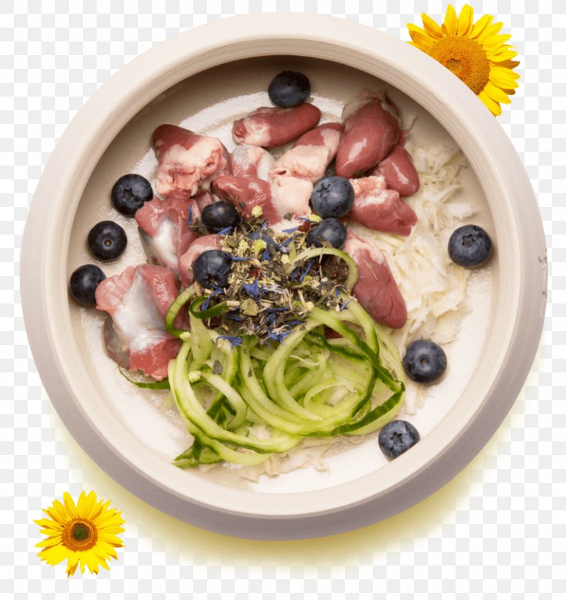 Dog Vegetarian Cuisine Ingredient Spaghetti Food, PNG, 850x902px, Dog, Bowl, Cuisine, Dish, Food Download Free