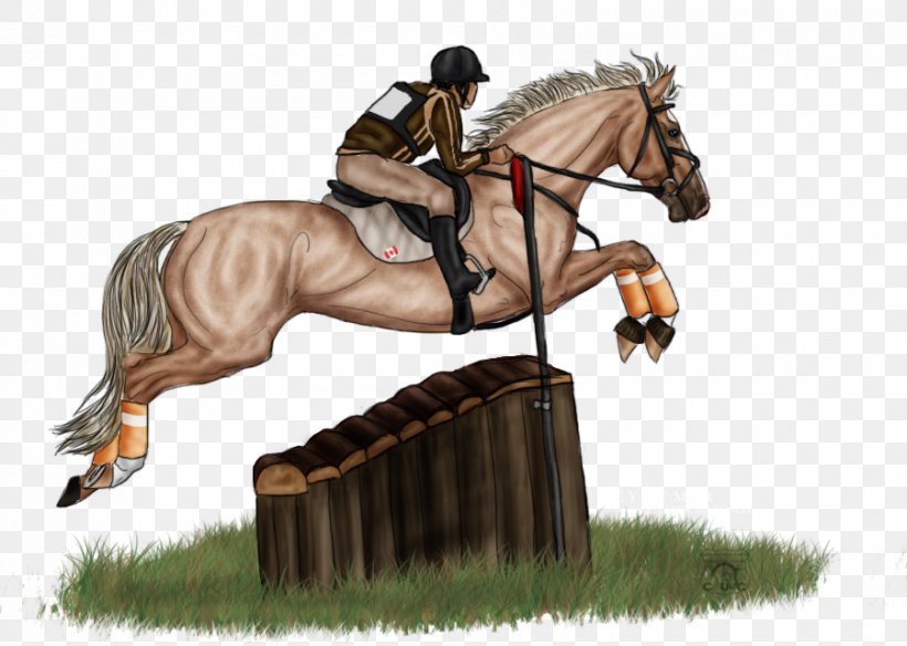 Hunt Seat Horse Equestrian Mane Rein, PNG, 900x642px, Hunt Seat, Animal Sports, Bit, Bridle, Cross Country Equestrianism Download Free