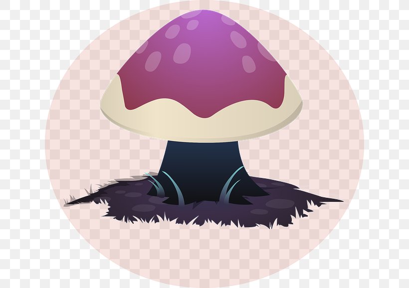 Mushroom Festival Fungus Science Psilocybin Mushroom, PNG, 640x578px, Mushroom Festival, Experiment, Fungus, Hat, Headgear Download Free