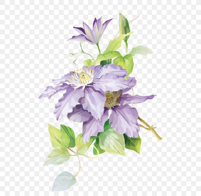Watercolor Painting Art Drawing, PNG, 585x800px, Watercolor Painting, Art, Art Museum, Artificial Flower, Clematis Download Free
