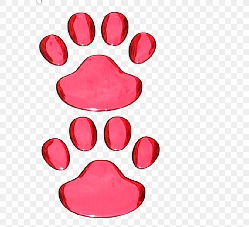 Border Collie Cat Knitting Paw, PNG, 912x831px, Border Collie, Animal Track, Cat, Crochet, Dog Download Free