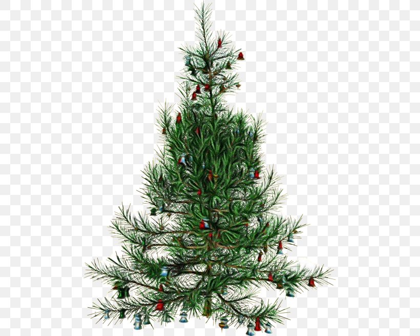 Christmas Tree, PNG, 493x655px, Watercolor, Balsam Fir, Christmas Tree, Colorado Spruce, Columbian Spruce Download Free