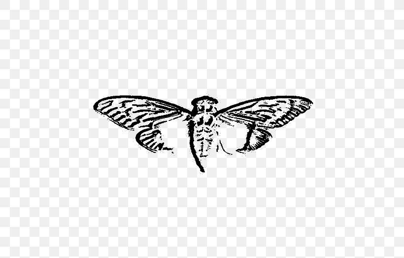 Cicada 3301 Organization Game Secret Society Cicadoidea, PNG, 521x523px, Cicada 3301, Arthropod, Black And White, Butterfly, Cicadoidea Download Free