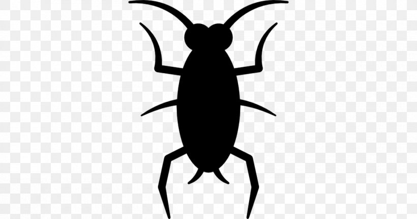 Fly Cockroach Beetle Clip Art, PNG, 1200x630px, Fly, Animal, Arthropod, Artwork, Beetle Download Free