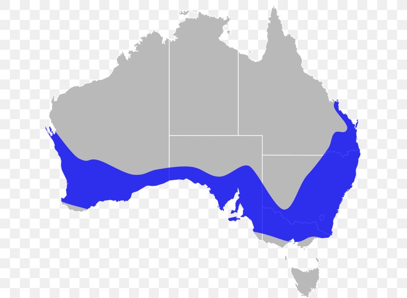 Northern Territory Perth Australian Capital Territory Vector Map, PNG, 637x600px, Northern Territory, Area, Australia, Australian Capital Territory, Map Download Free