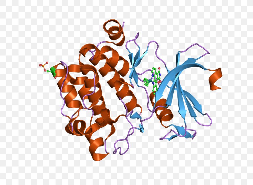 PIM1 PAK4 P21-activated Kinases Epidermal Growth Factor Receptor, PNG, 800x600px, Kinase, Art, Enzyme, Epidermal Growth Factor Receptor, Food Download Free