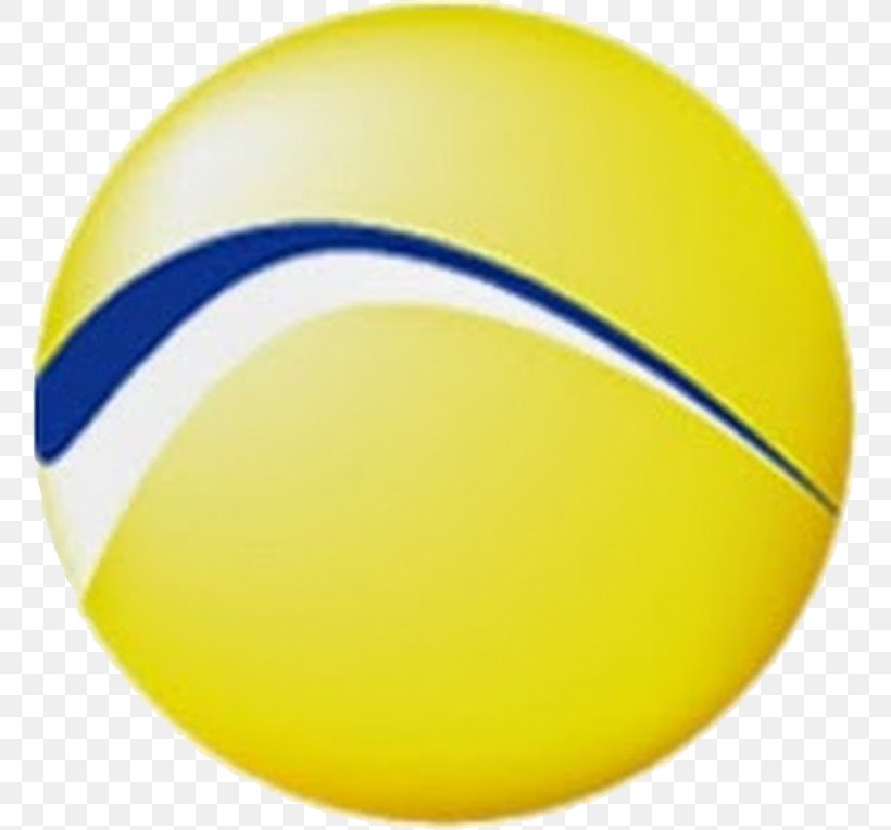 San Leandro Adult School Napa Valley Unified School District Summer School Volleyball, PNG, 761x764px, Napa Valley Unified School District, Ball, Citizenship, Pallone, Rosanna Download Free