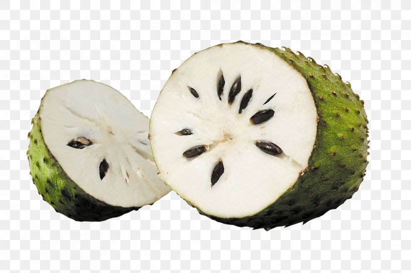 Soursop Tropical Fruit Sugar-apple Juice, PNG, 2083x1388px, Soursop, Annona, Cherimoya, Food, Fruit Download Free