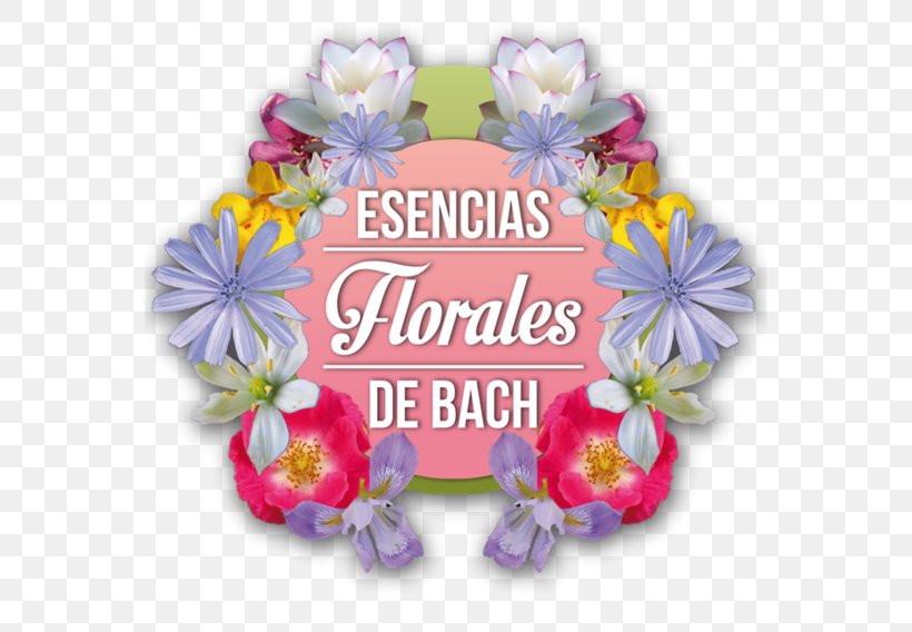 The Bach Flower Remedies Floral Design Therapy Medicine, PNG, 600x568px, Bach Flower Remedies, Cut Flowers, Edward Bach, Emotion, Fear Download Free