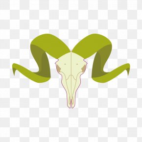 Sheep Head - Sheep Illustration Design Image PNG