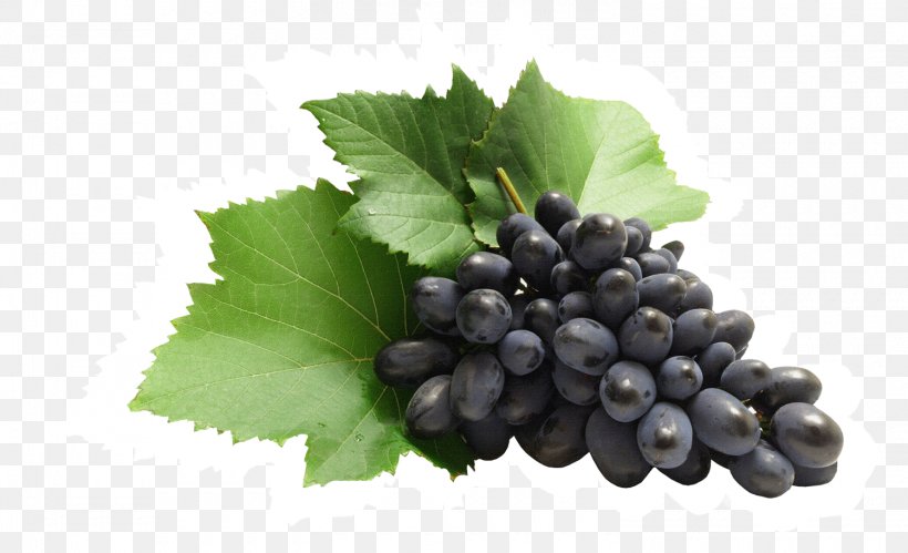 Zante Currant Common Grape Vine Juice, PNG, 1500x914px, Zante Currant, Berry, Bilberry, Blackcurrant, Blueberry Download Free