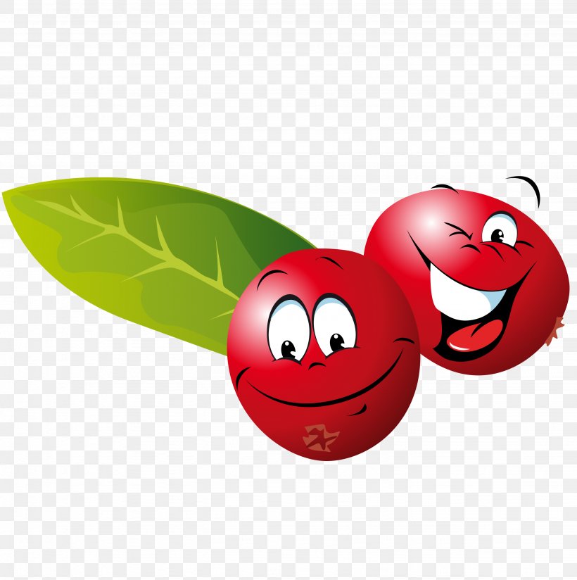 Cranberry Juice Royalty-free, PNG, 2866x2882px, Cranberry Juice, Animation, Blueberry, Can Stock Photo, Cartoon Download Free