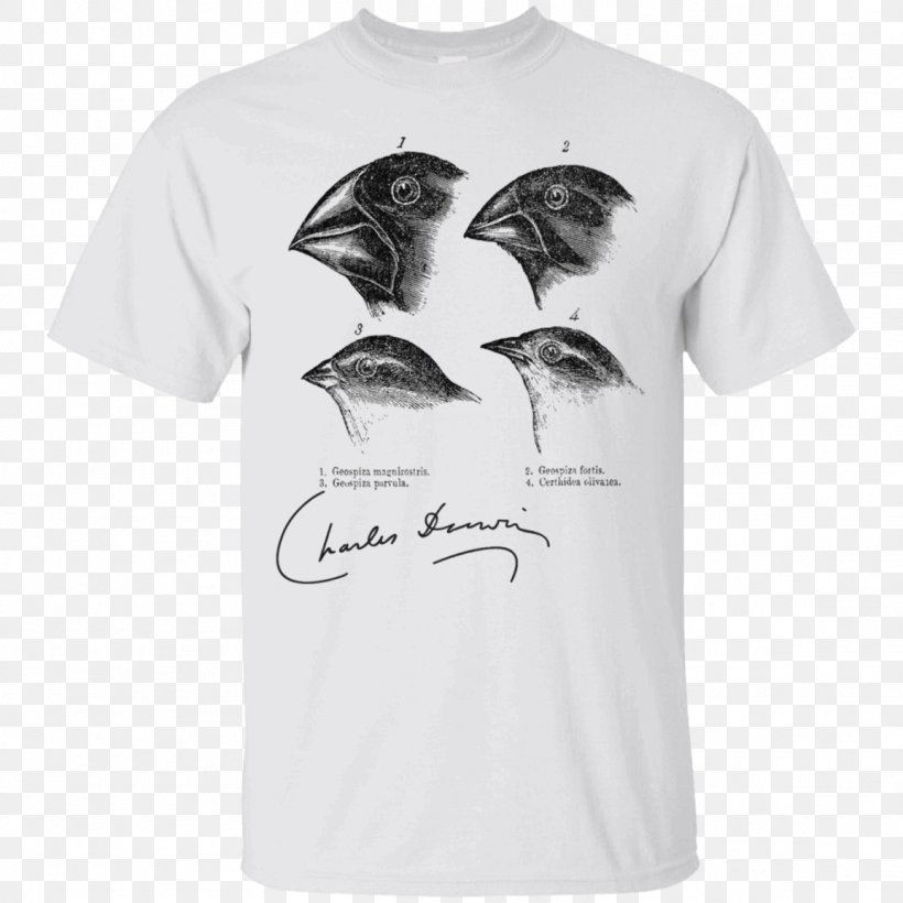 Darwin's Finches Galápagos Islands Evolution Natural Selection Science, PNG, 1155x1155px, Evolution, Active Shirt, Alfred Russel Wallace, Biologist, Biology Download Free