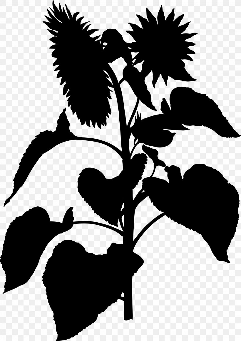 Flower Plant Stem Leaf Clip Art Silhouette, PNG, 2060x2919px, Flower, Blackandwhite, Botany, Flowering Plant, Leaf Download Free