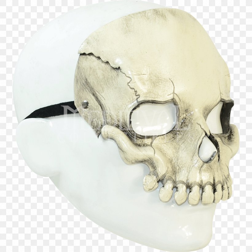 Jaw Skull, PNG, 850x850px, Jaw, Bone, Head, Skull Download Free