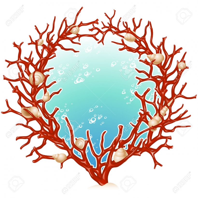 Red Coral Picture Frames Clip Art, PNG, 1300x1300px, Red Coral, Antler, Artwork, Branch, Coral Download Free