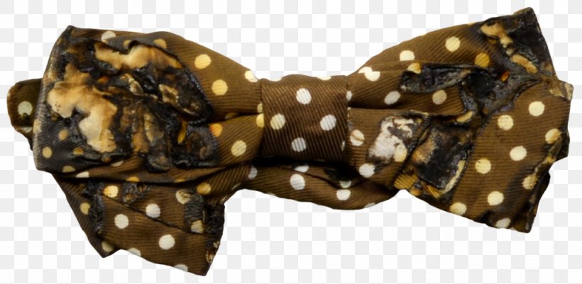 Bow Tie, PNG, 1024x502px, Bow Tie, Brown, Fashion Accessory, Necktie Download Free