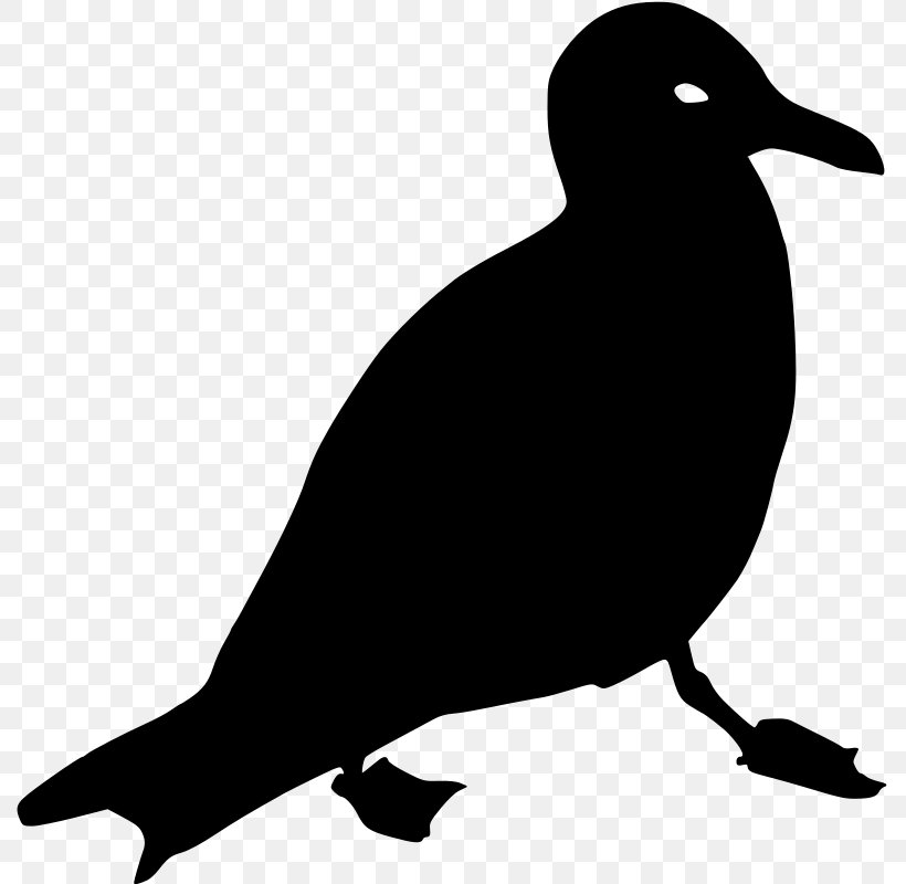 Gulls Clip Art, PNG, 791x800px, Gulls, Beak, Bird, Black And White, Fauna Download Free