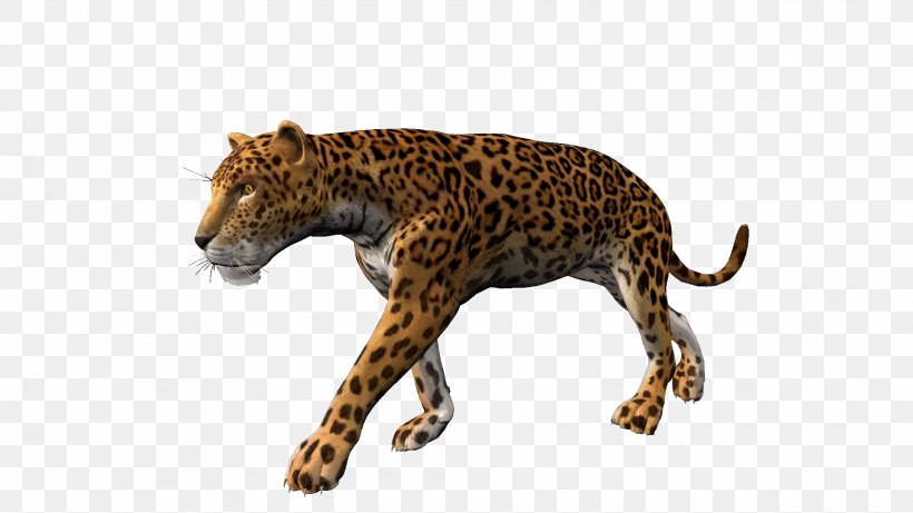 Leopard Jaguar Cheetah Stock Footage Lion, PNG, 1920x1080px, Leopard, Alpha Compositing, Animal Figure, Animation, Big Cats Download Free