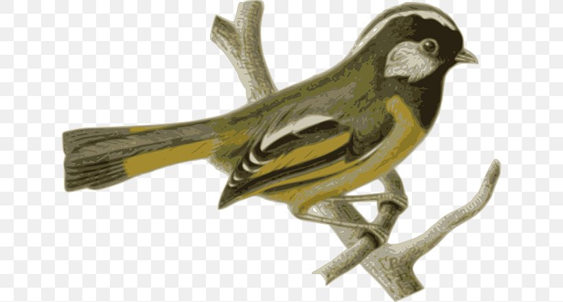 Bird Feather Yellow Beak, PNG, 640x441px, Bird, Animal, Beak, Blue, Chickadee Download Free