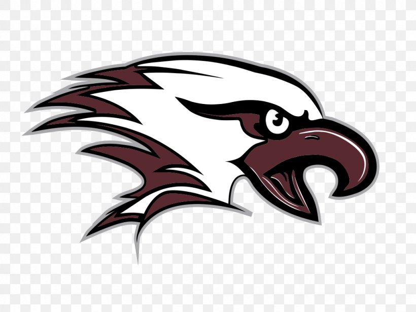 Chestatee High School Gainesville Chestatee River Chestatee Road, PNG, 1024x768px, Gainesville, Beak, Bird, Chestatee, Fictional Character Download Free