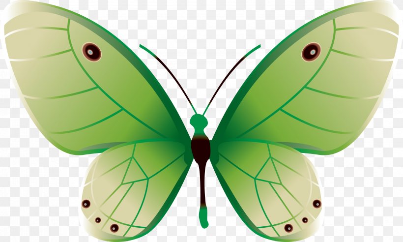 Butterfly Color Green, PNG, 3355x2014px, Butterfly, Arthropod, Blue, Butterfly Net, Color Download Free