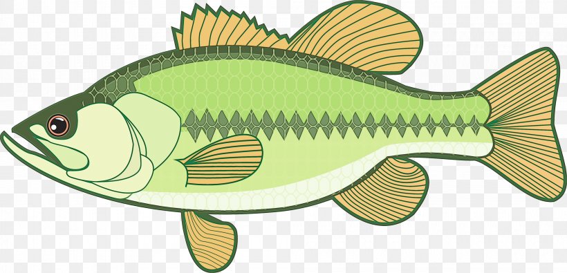 Fishing Cartoon, PNG, 4000x1929px, Largemouth Bass, Bass, Bass Fishing, Black Sea Bass, Bonyfish Download Free