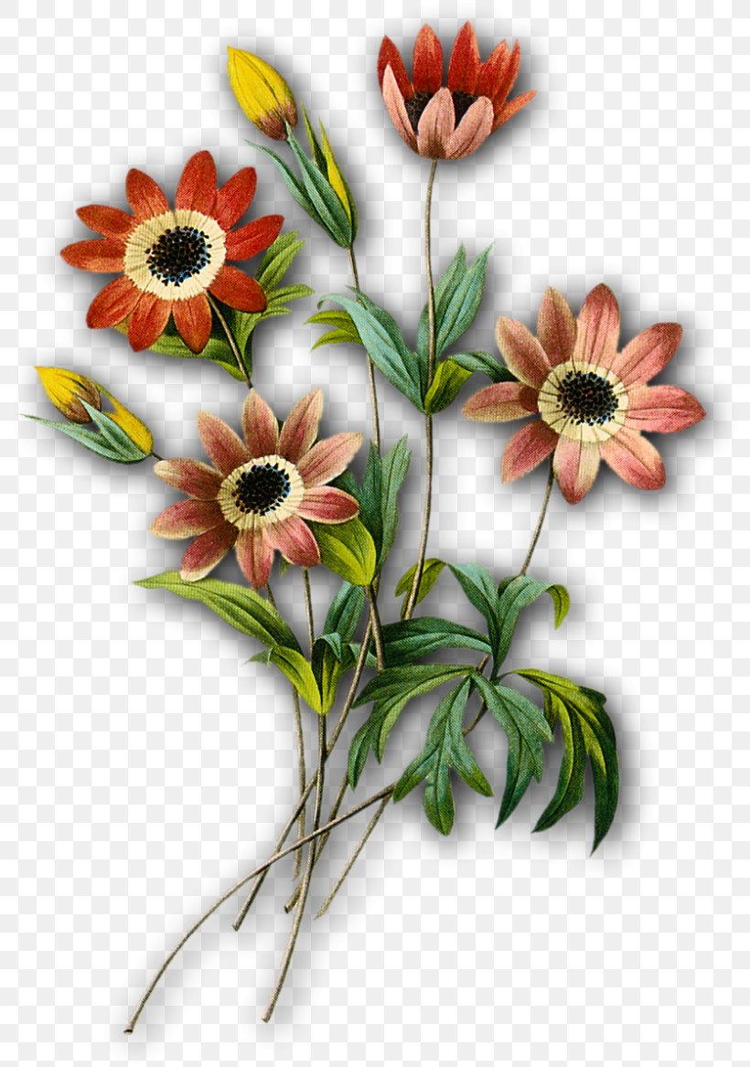 Flower Calendar Floral Design, PNG, 801x1167px, Flower, Calendar, Chrysanths, Common Sunflower, Craft Download Free